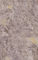 Ausgezeichnetes Gleitschutzvinyl des körper-LVT, das PVC-Harz-dauerhafte Marmorader ausbreitet